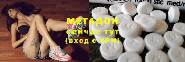 стаф Алзамай
