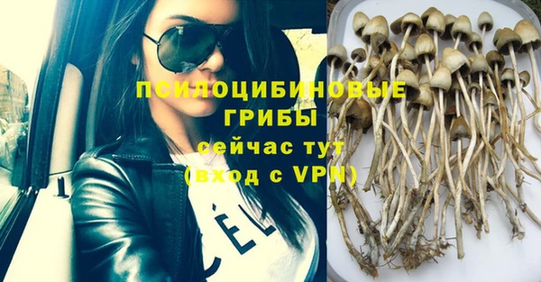 mix Алексин