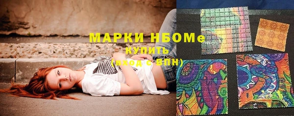 стаф Алзамай
