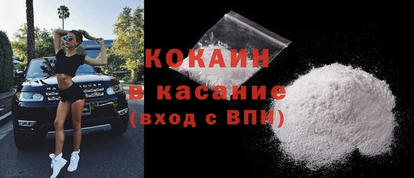 стаф Алзамай