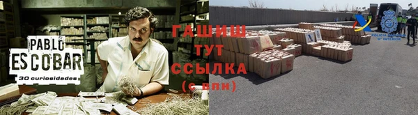 стаф Алзамай